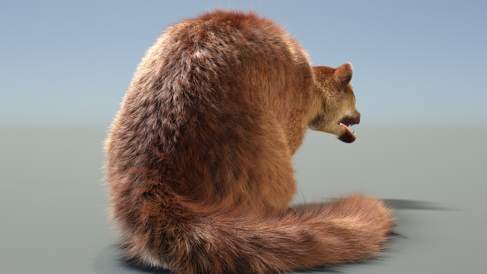 Rigged Kinkajou 3D Model Fur 360° view 2 frame 13