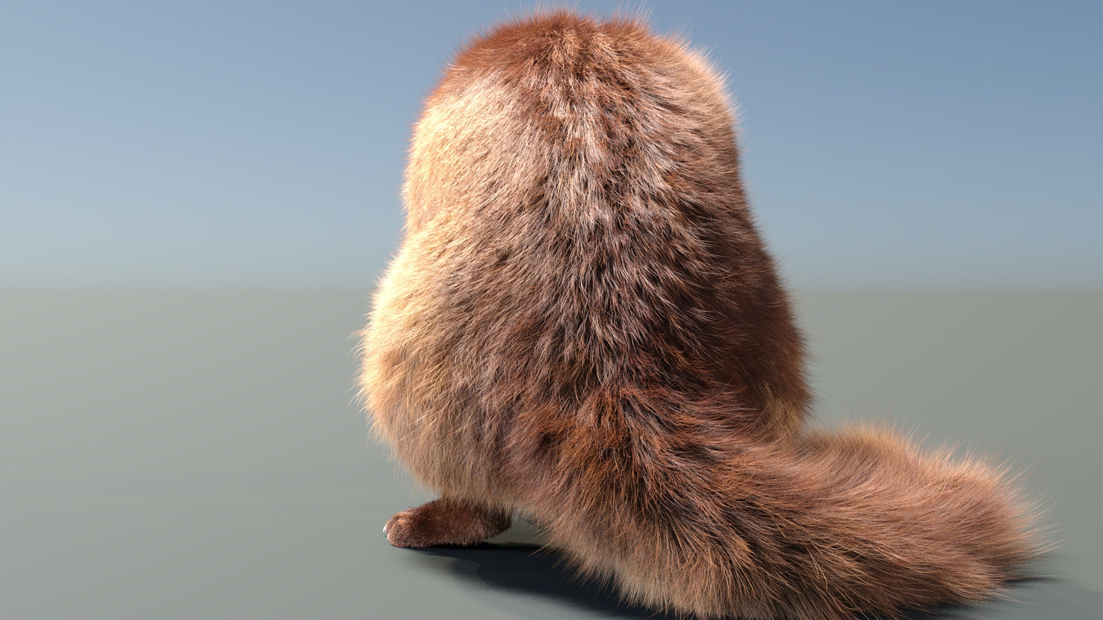 Rigged Kinkajou 3D Model Fur 360° view 2 frame 16