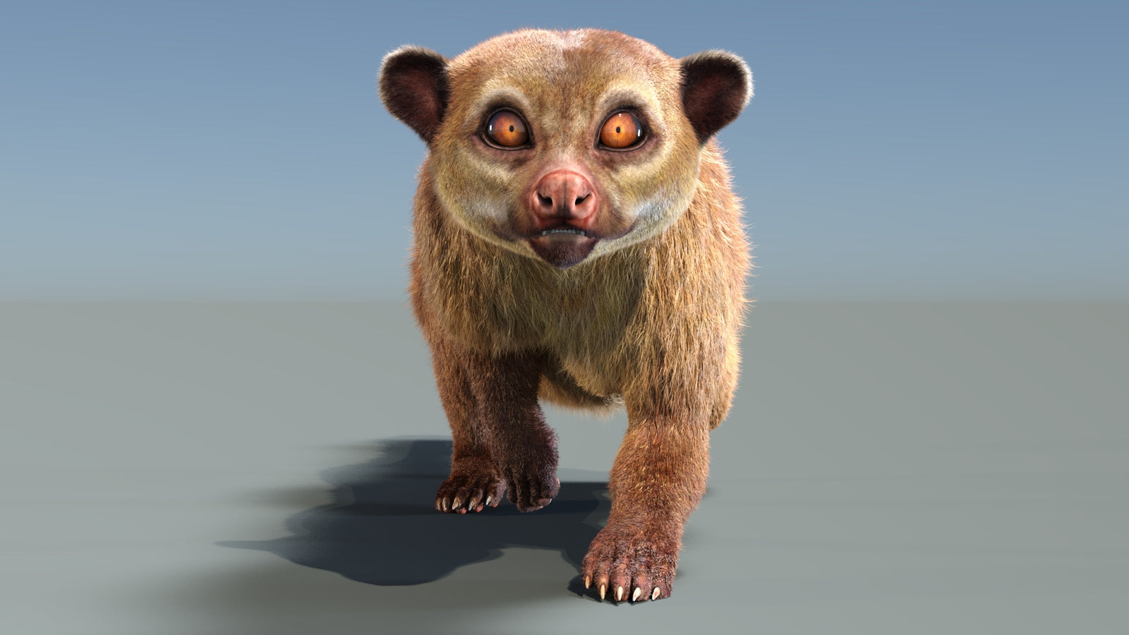 Animated Kinkajou 3D Model Fur 360° view 3 frame 5