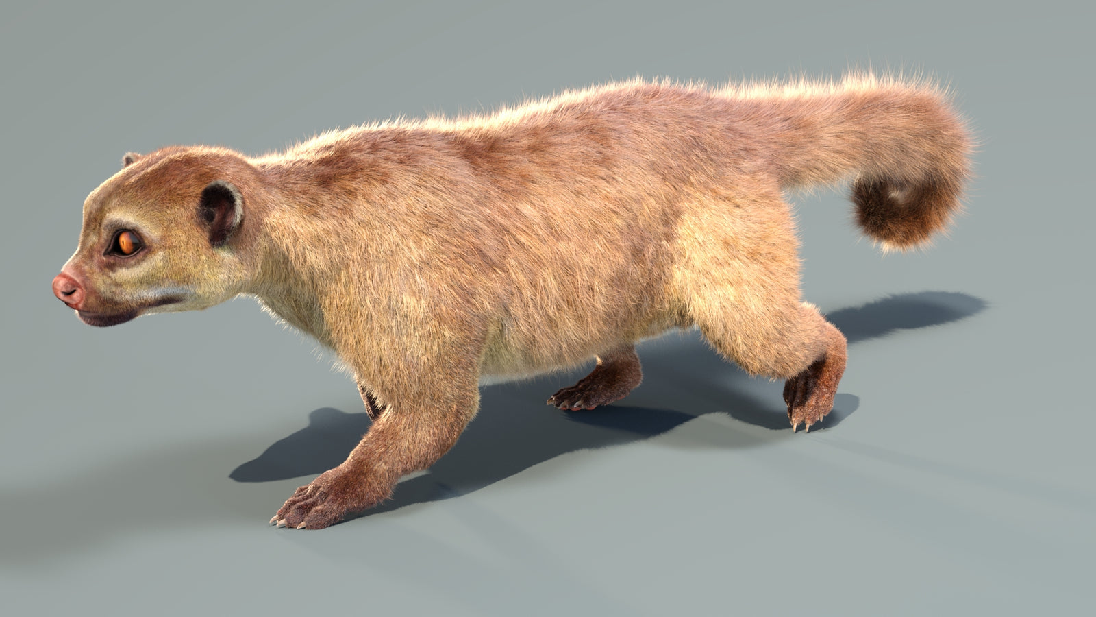 Animated Kinkajou 3D Model Fur 360° view 4 frame 6