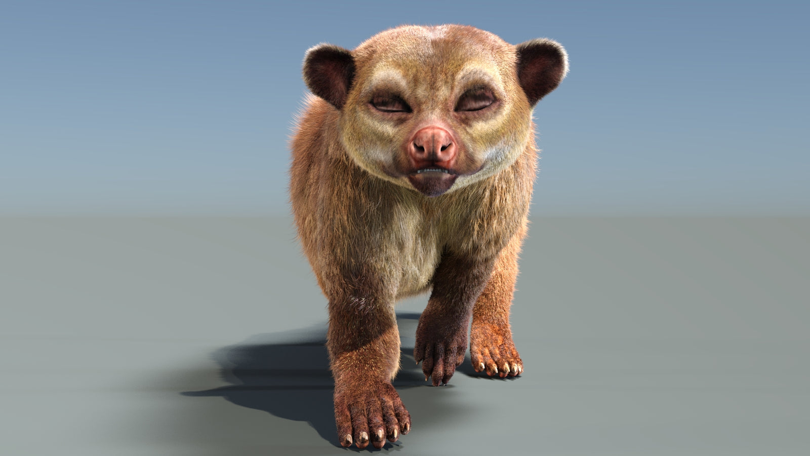 Animated Kinkajou 3D Model Fur 360° view 3 frame 18