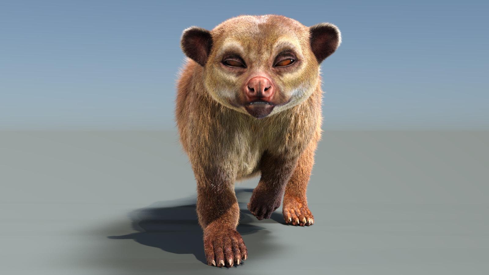 Animated Kinkajou 3D Model Fur 360° view 3 frame 20