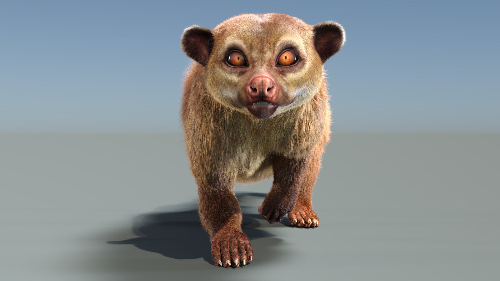 Animated Kinkajou 3D Model Fur 360° view 3 frame 22