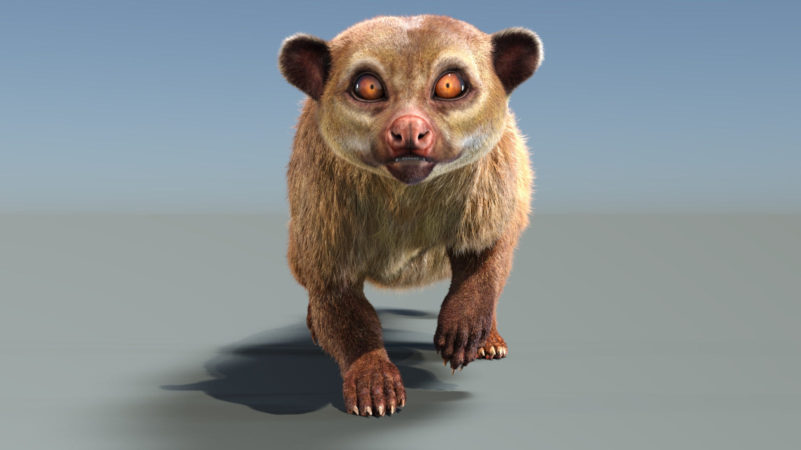 Animated Kinkajou 3D Model Fur 360° view 3 frame 25