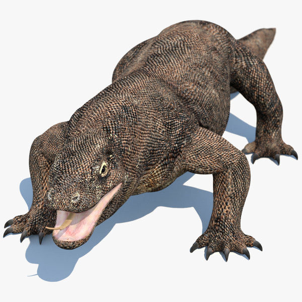 Komodo Dragon 3D Model