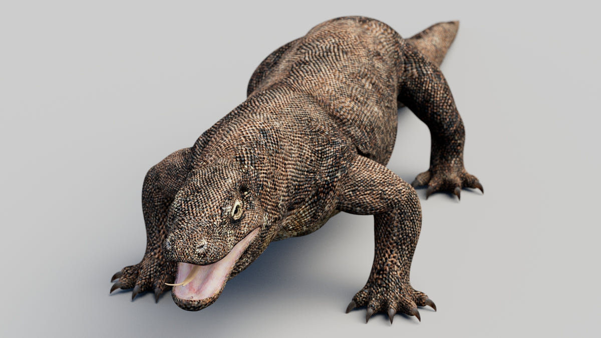 Realistic Komodo Dragon 3D Model for CGI and VFX