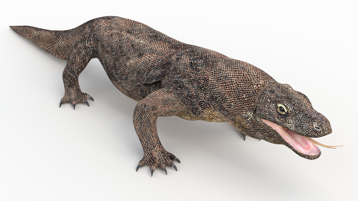 Realistic Komodo Dragon 3D Model for Download