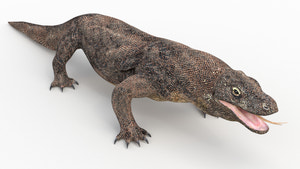 Realistic Komodo Dragon 3D Model for Download Thumbnail