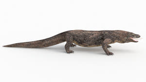 Realistic Komodo Dragon 3D Model for Download Thumbnail