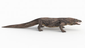 Realistic Komodo Dragon 3D Model for Download Thumbnail