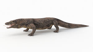 Realistic Komodo Dragon 3D Model for Download Thumbnail