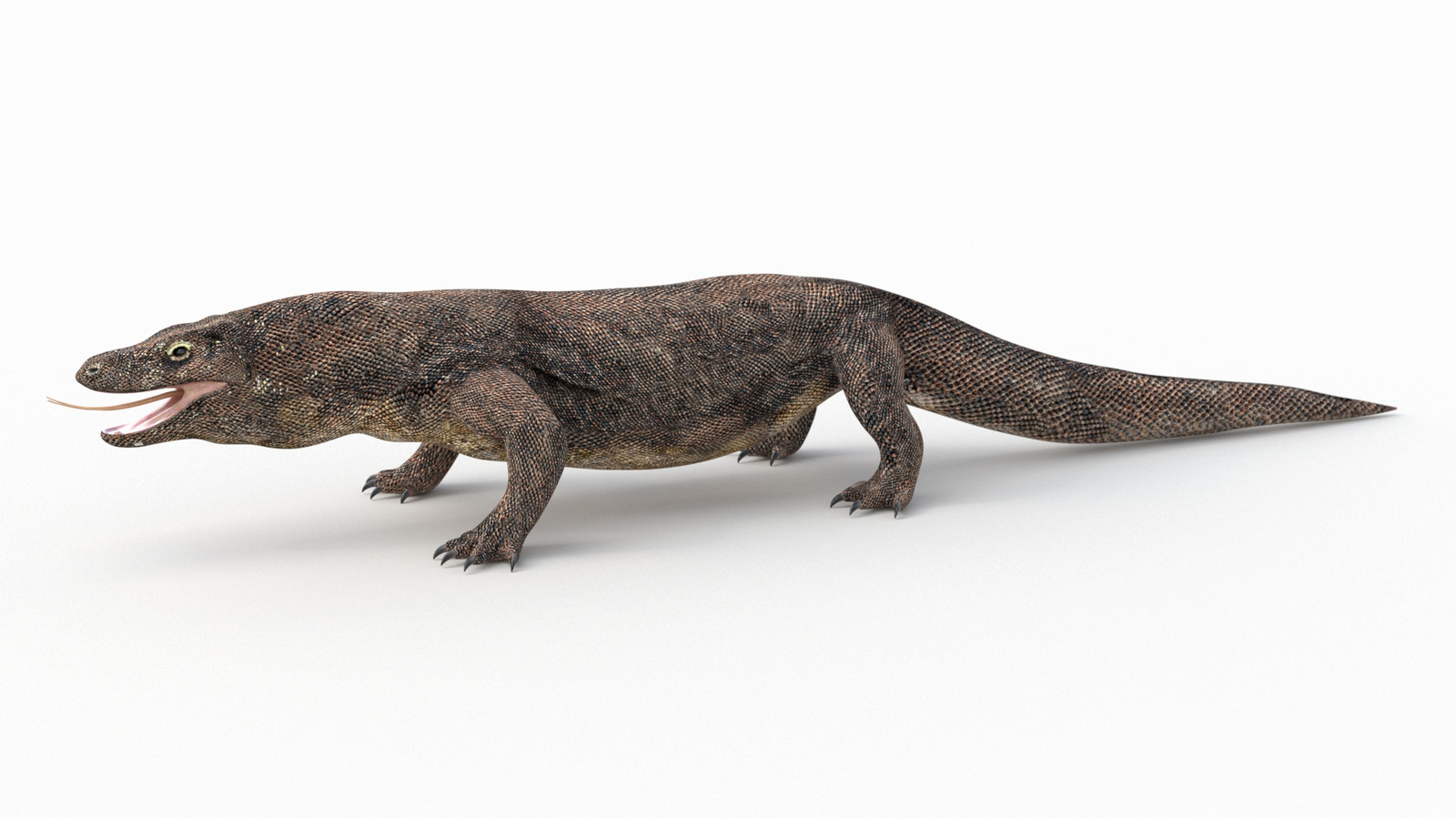 Realistic Komodo Dragon 3D Model for Download