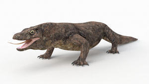 Realistic Komodo Dragon 3D Model for Download Thumbnail