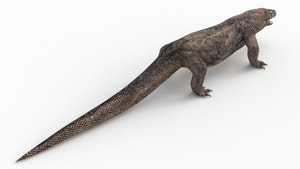 Realistic Komodo Dragon 3D Model for Download Thumbnail