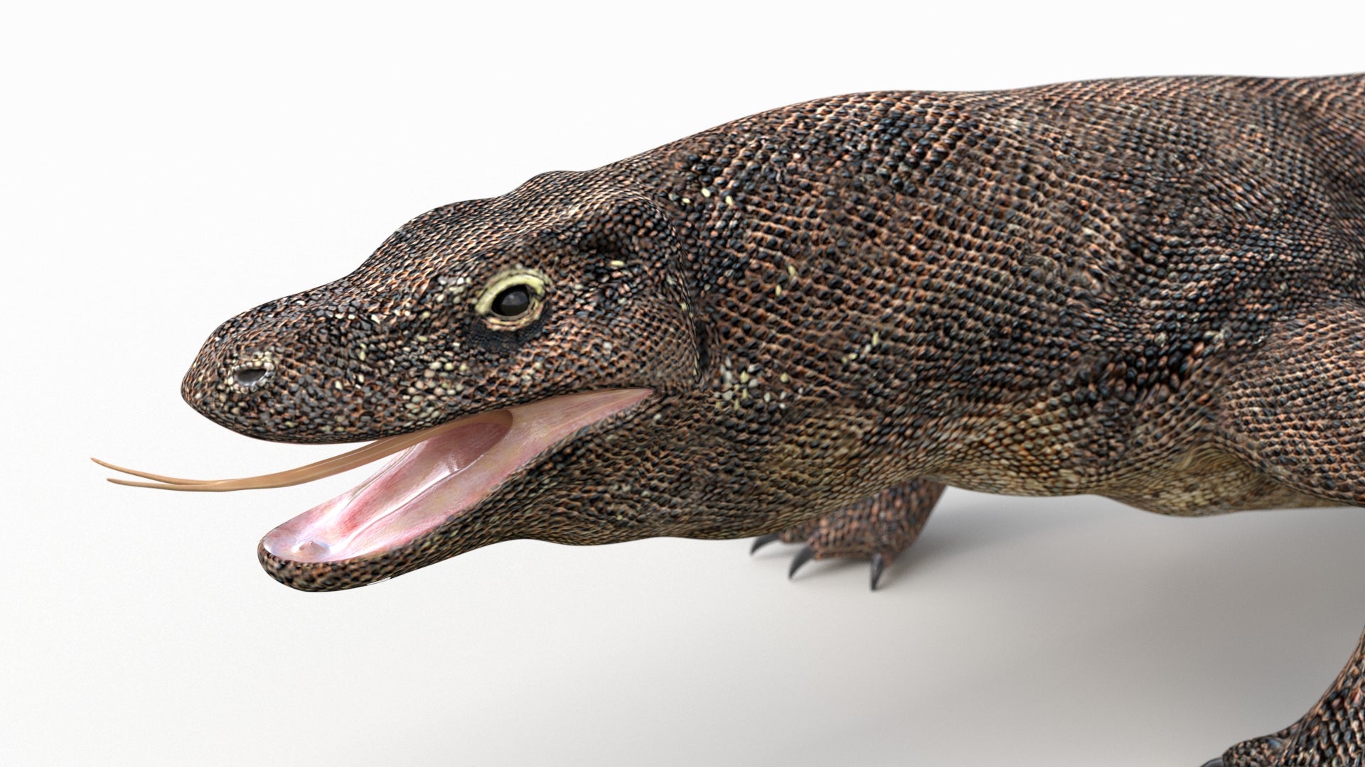 Realistic Komodo Dragon 3D Model for Download