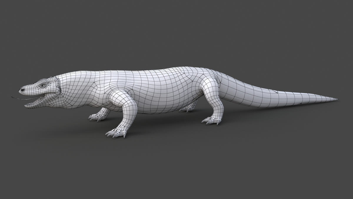 Komodo Dragon 3D Model Wireframe View 0