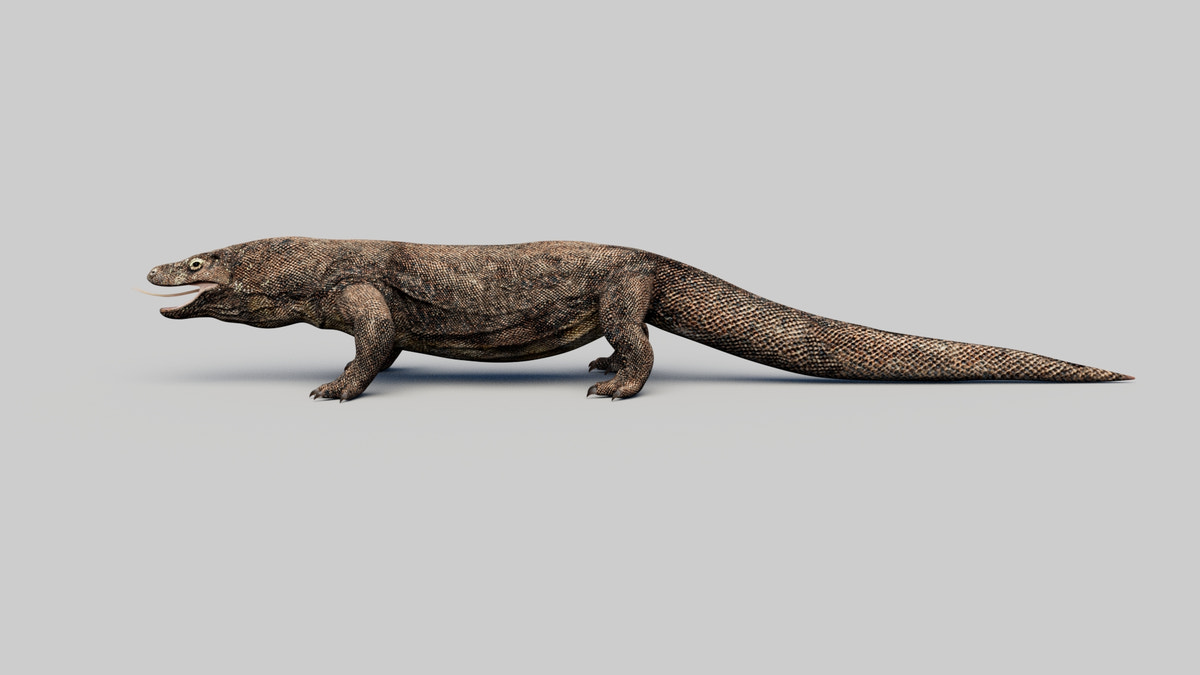 Komodo Dragon 3D Model - 360 Degree View