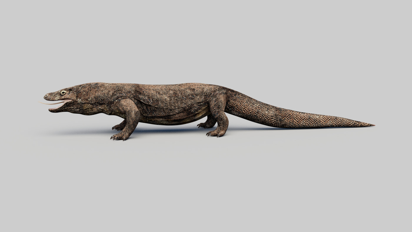 Game-Ready Komodo Dragon 3D Model - 360 Degree View