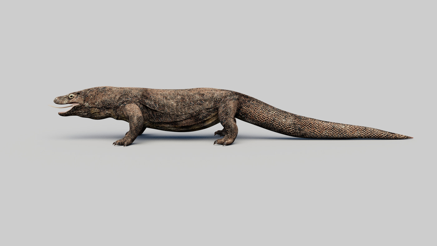 Komodo Dragon 3D Model - 360 Degree View
