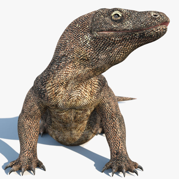 Animated Komodo Dragon 3D Model