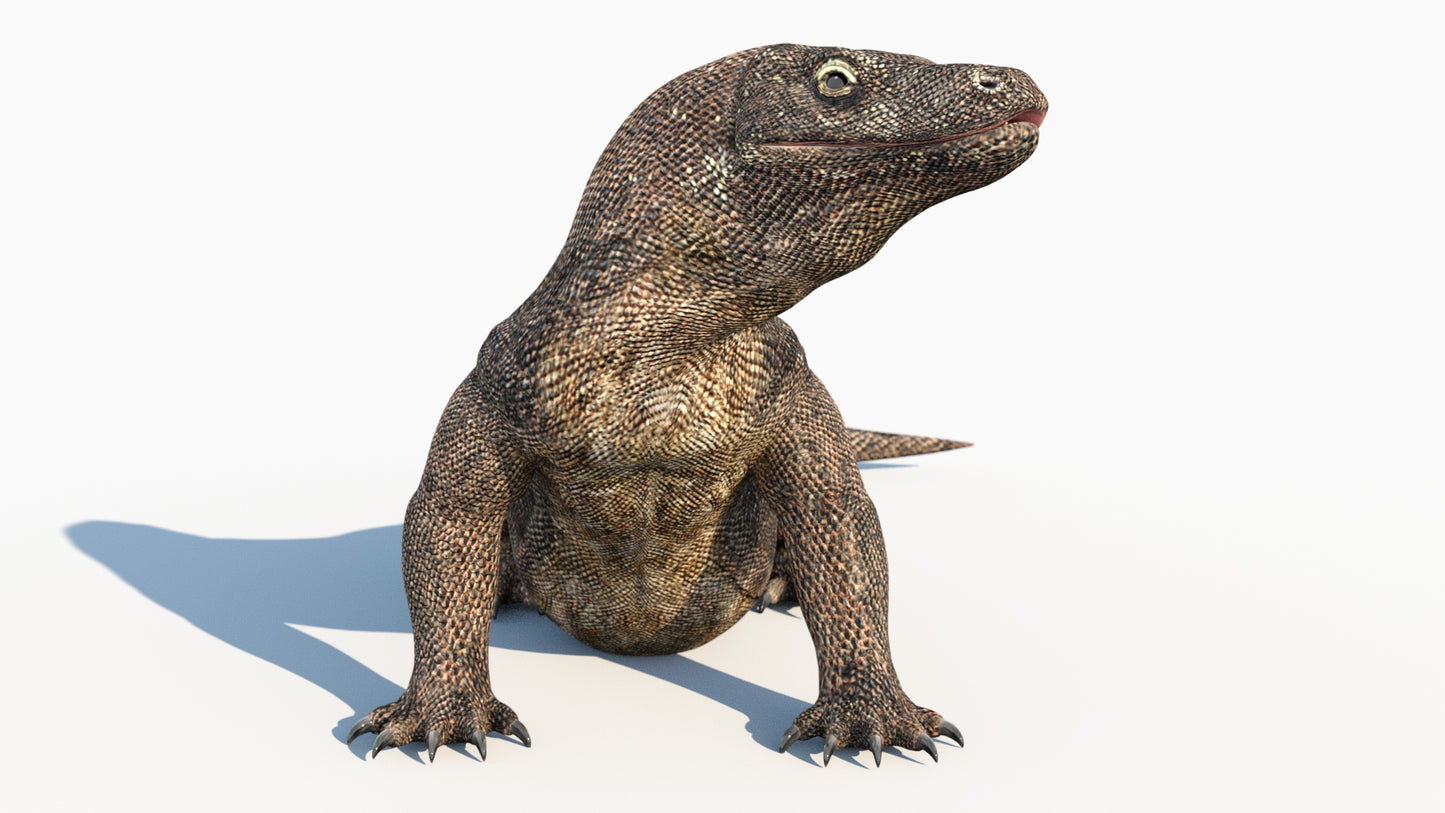 Animated Komodo Dragon 3D Model