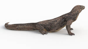 Animated Komodo Dragon 3D Model for Download Thumbnail