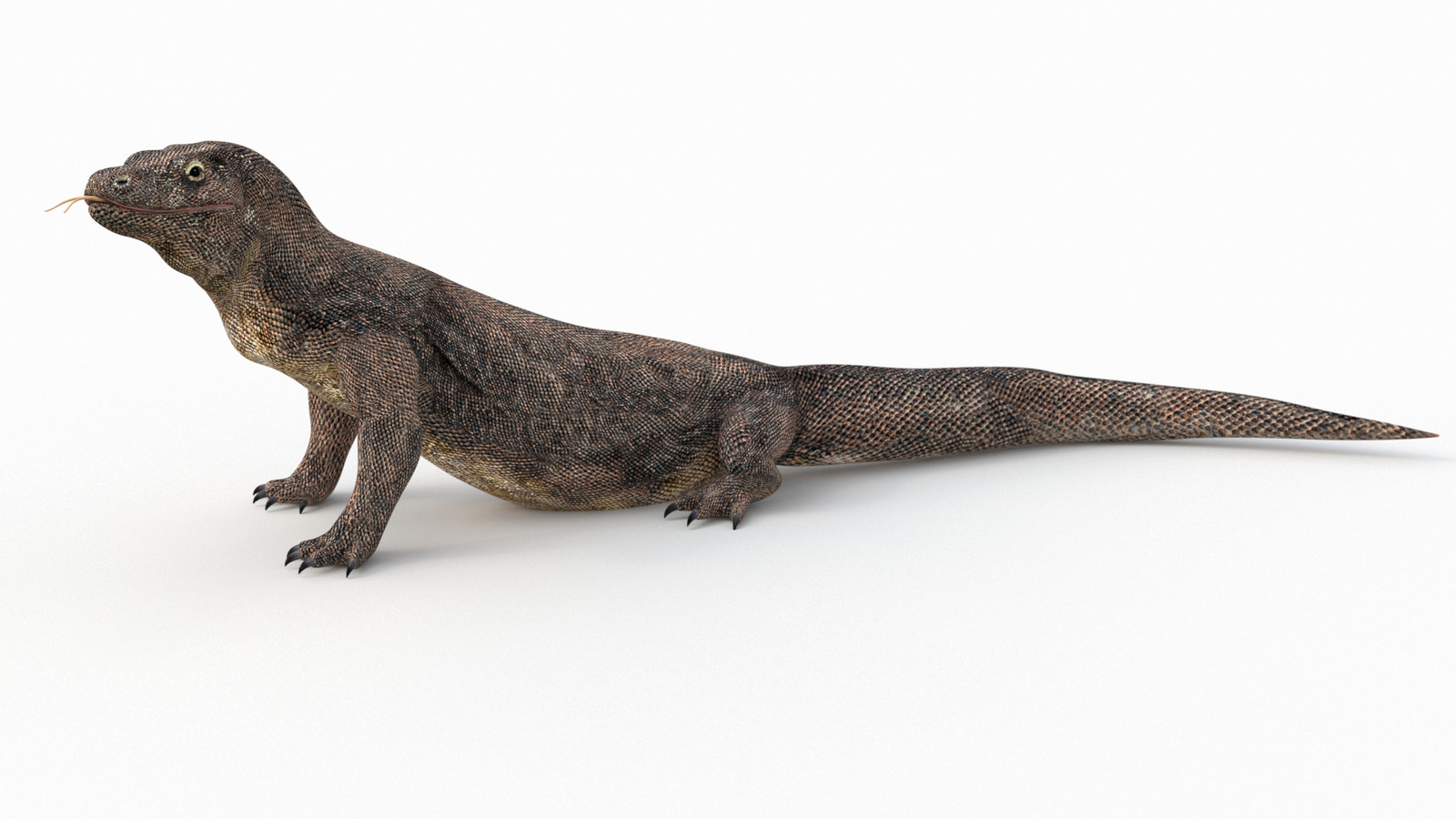 Animated Komodo Dragon 3D Model