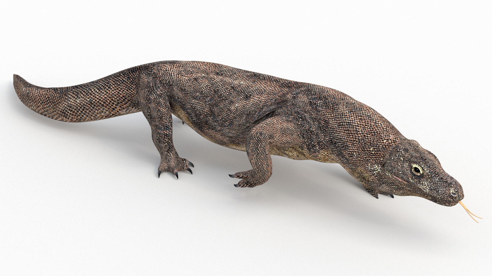 Animated Komodo Dragon 3D Model Walking