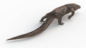 Animated Komodo Dragon 3D Model Thumbnail
