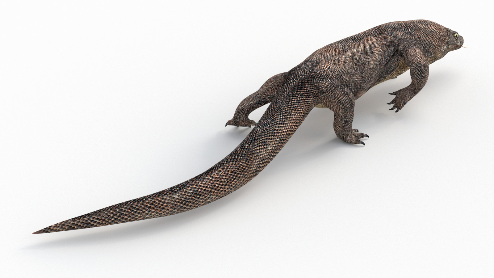 Animated Komodo Dragon 3D Model