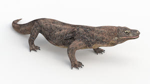 Animated Komodo Dragon 3D Model for Download Thumbnail