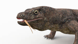 Animated Komodo Dragon 3D Model for Download Thumbnail