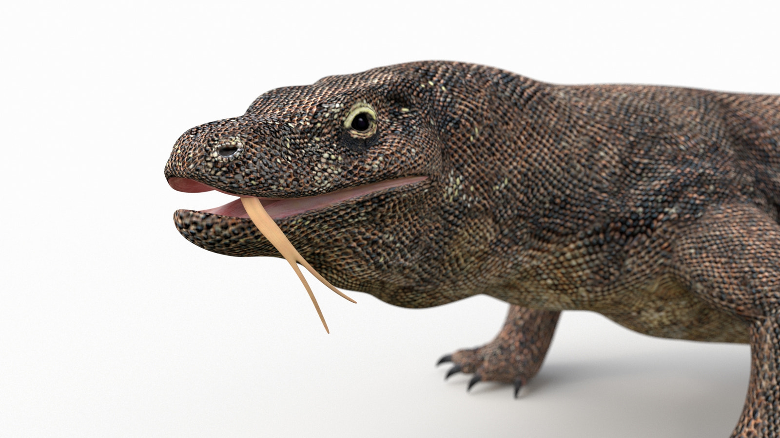 Animated Komodo Dragon 3D Model for Download