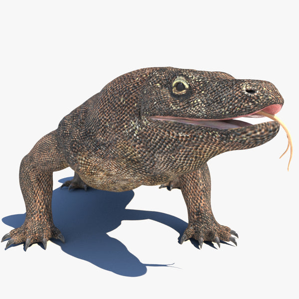 Komodo Dragon 3D Model Rigged