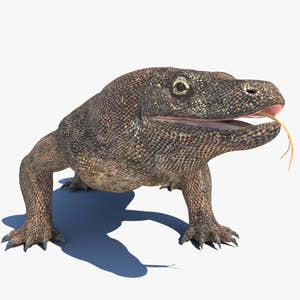 Rigged Komodo Dragon 3D Model for Download Thumbnail