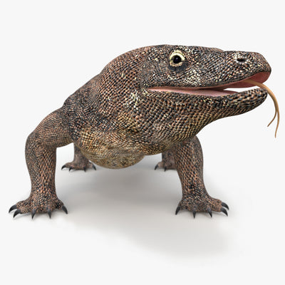 Komodo Dragon 3D Model Rigged