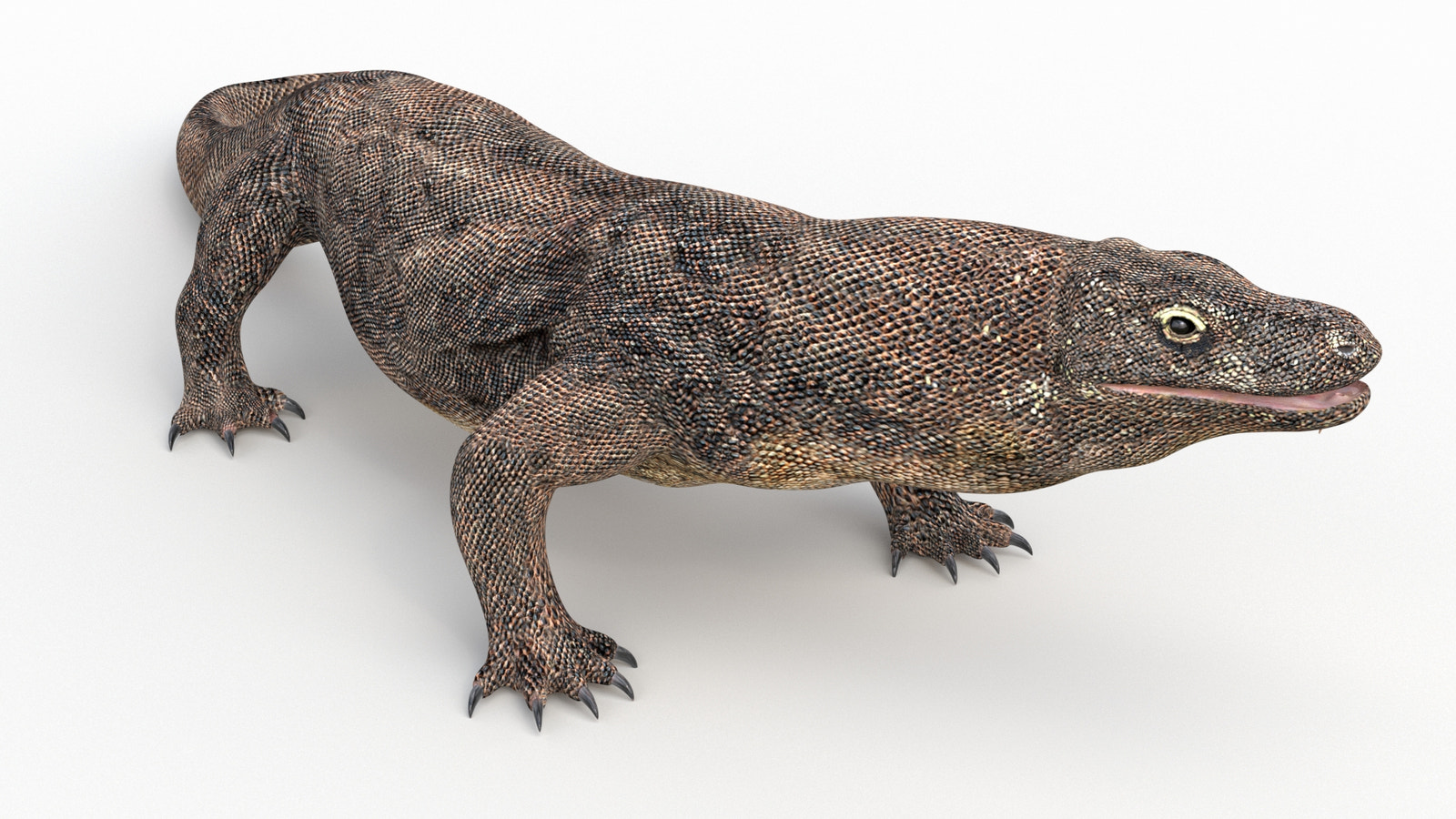 Rigged Komodo Dragon 3D Model for Download