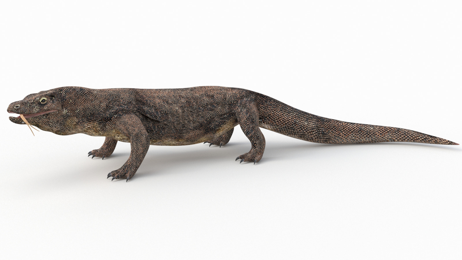 Rigged Komodo Dragon 3D Model for Download