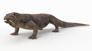 Rigged Komodo Dragon 3D Model for Download Thumbnail