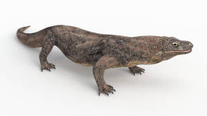 Rigged Komodo Dragon 3D Model for Download Thumbnail