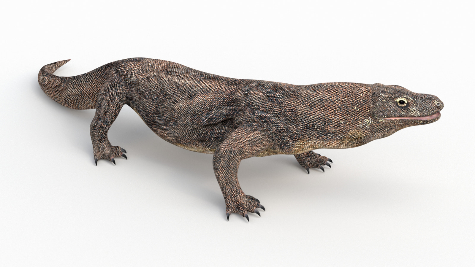 Rigged Komodo Dragon 3D Model for Download
