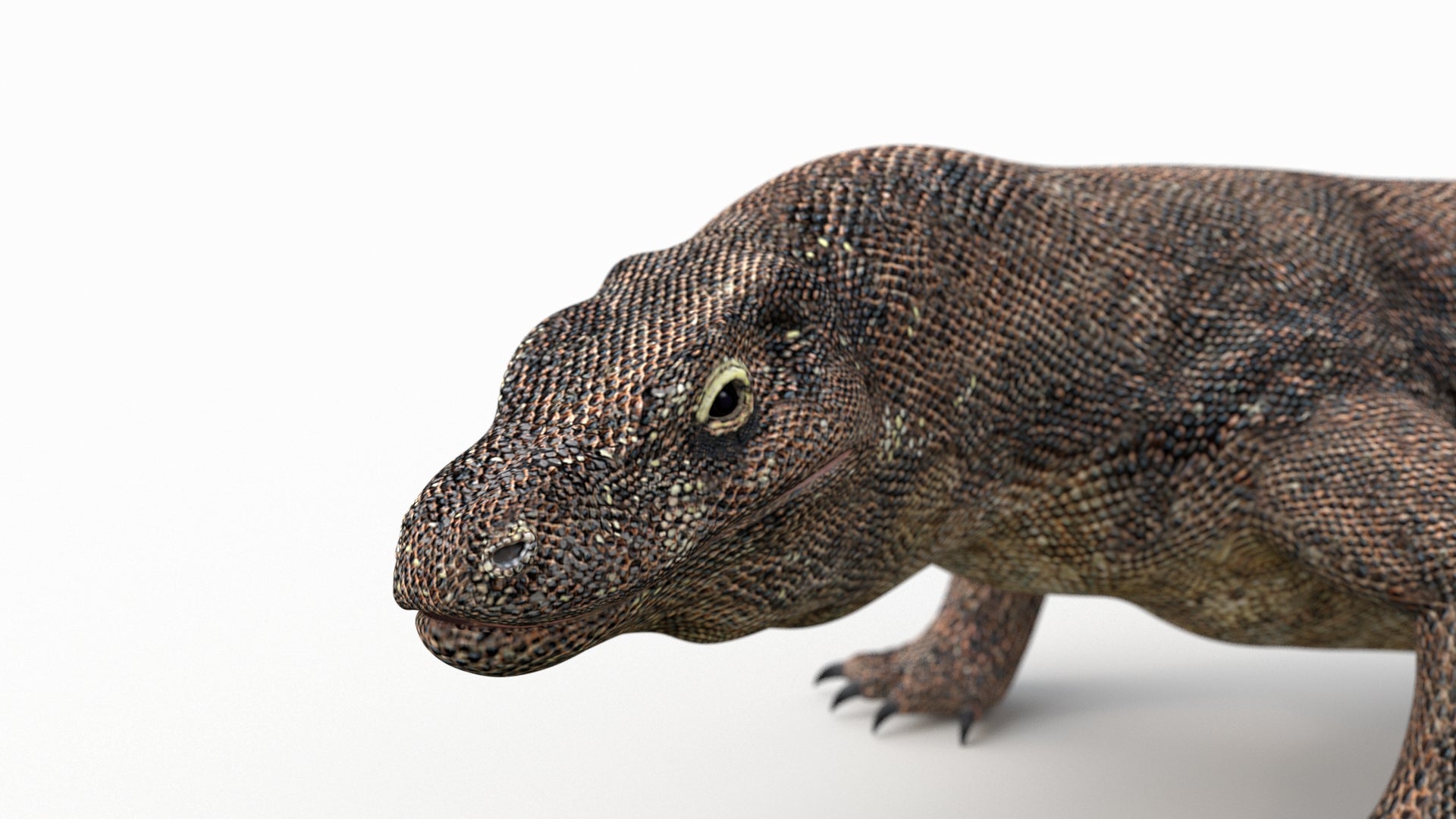 アニメーション化されたコモドドラゴンの3Dモデル - 360 Degree View
