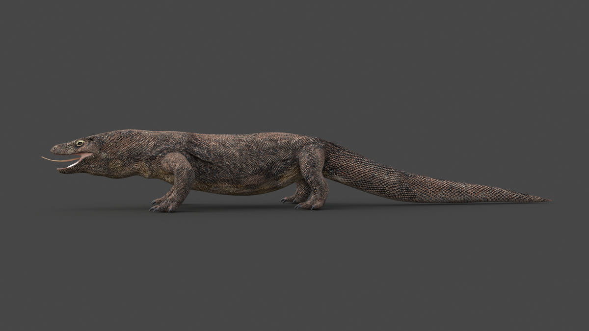 Game-Ready Komodo Dragon 3D Model - 360 Degree View