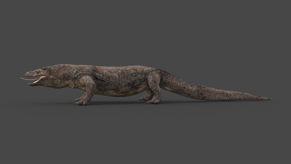 Game-Ready Komodo Dragon 3D Model - 360 Degree View