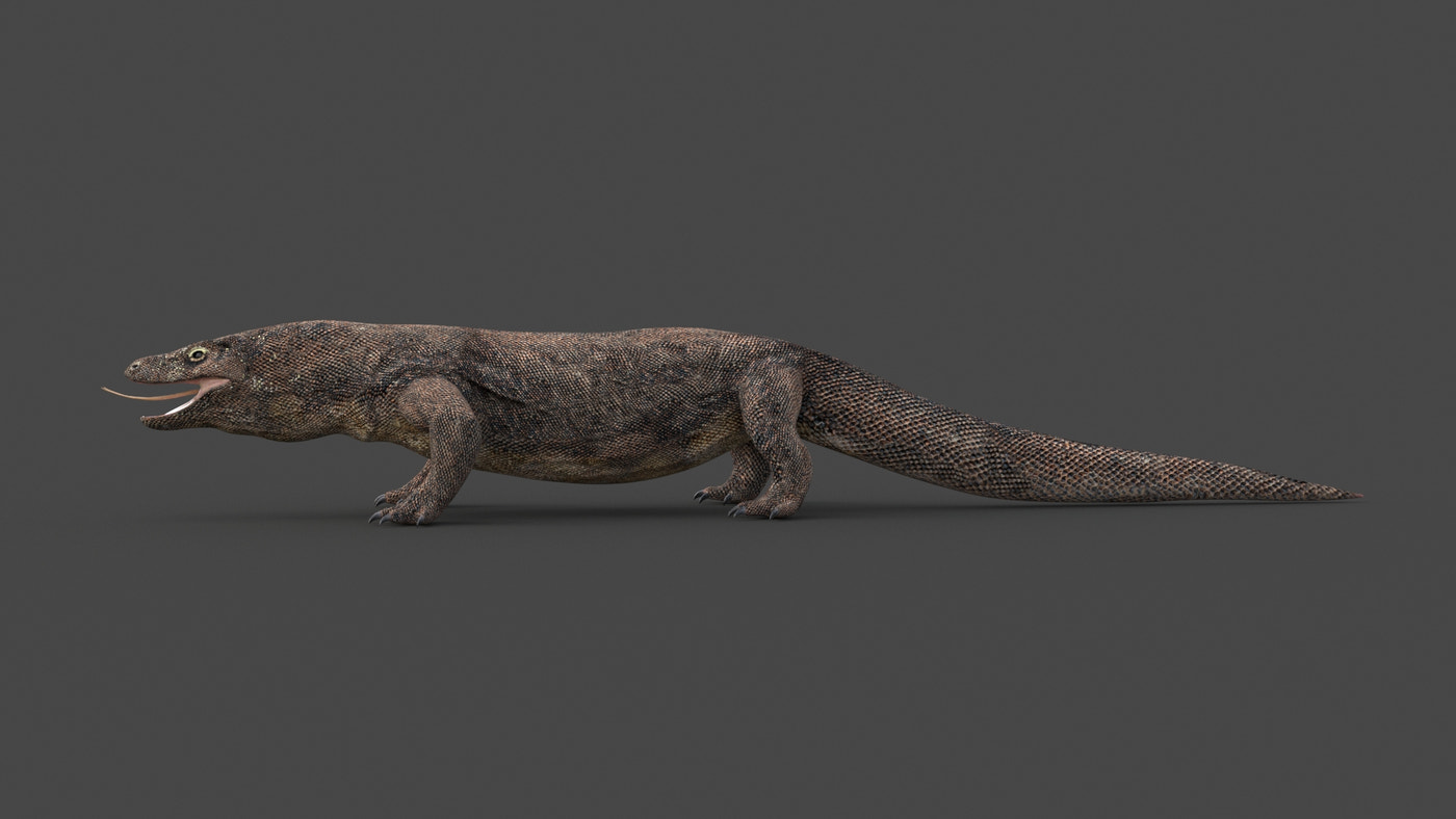 Game-Ready Komodo Dragon 3D Model - 360 Degree View