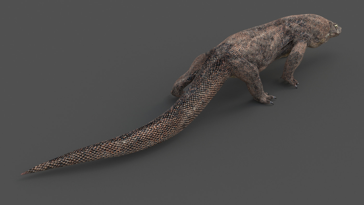 Animated Komodo Dragon 3D Model - 360 Degree View