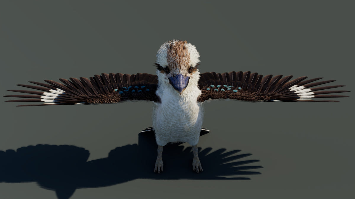 A 3D digital model of a kookaburra bird with wings spread, shown against a dark gray background with a sharp shadow underneath.