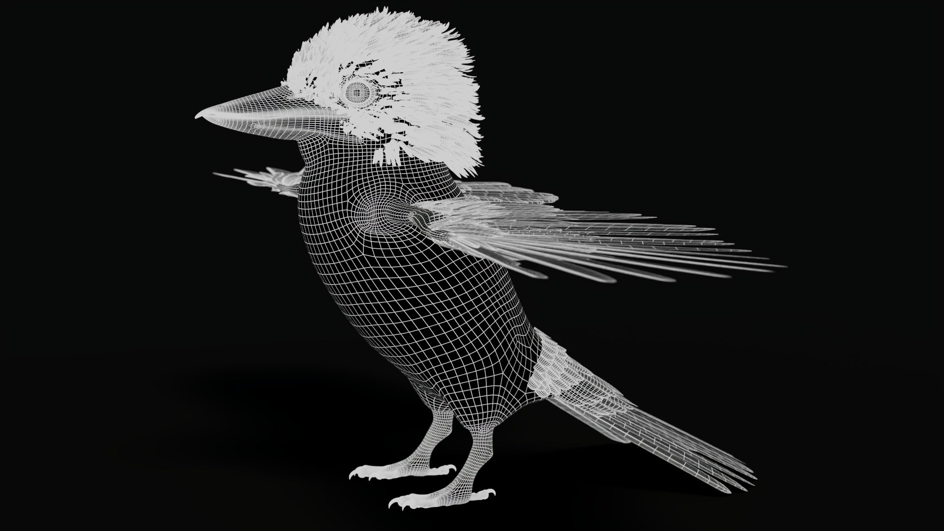 Laughing Kookaburra Fur 3D Model – Photoreal PBR (Multi-Format