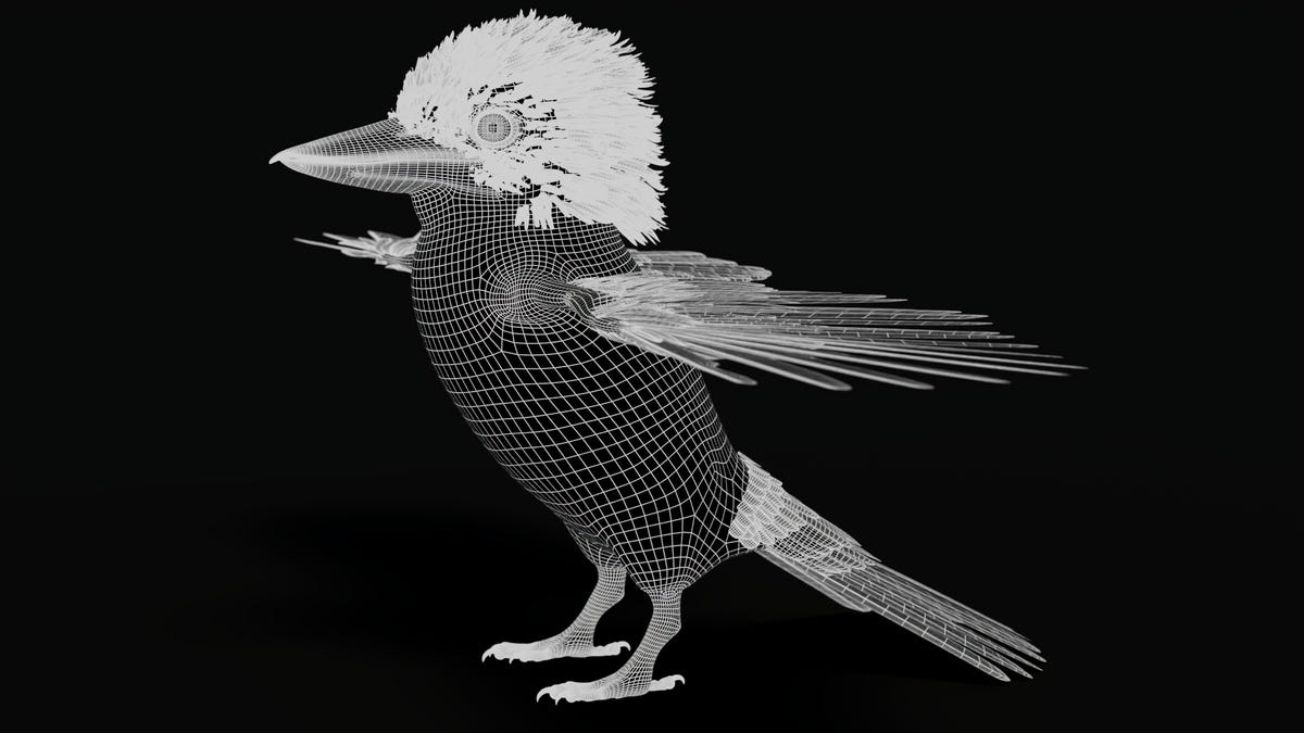 Kookaburra 3D Model Wireframe View 02