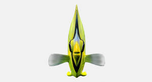 Latticed Butterfly Fish 3D Model for VFX Thumbnail